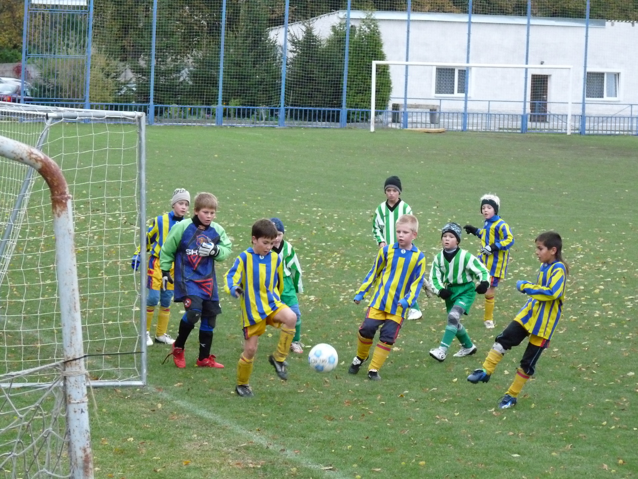 Novo-TJ Kablo 3-1